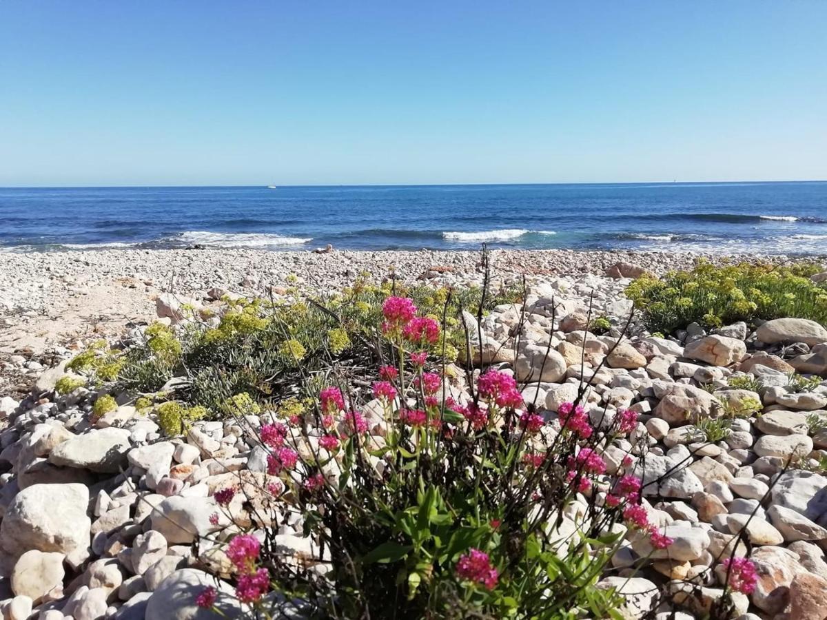 Apartment Playa Montanas Y Mucho Mas